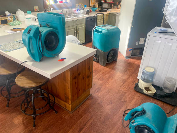 Best Mold removal after water damage  in Cannon Beach, OR