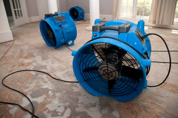 Best Water damage restoration near me  in Cannon Beach, OR